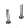 Team Losi Racing Hinge Pins, 4 x 21mm TiCN (2): 8IGHT 4.0