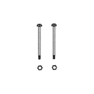 Team Associated RC10 FT Captured Rear Outer Hinge Pin (38.8mm)
