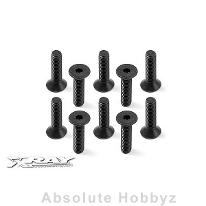 XRAY Hex Screw SFH M4x16 (10)