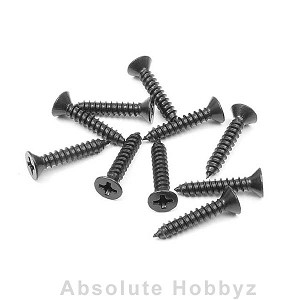 XRAY Screw Phillips Ss 3.5X19  (10)
