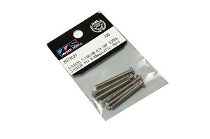 Mugen SIG 3x28 B/H Titanium Screw (8pcs)
